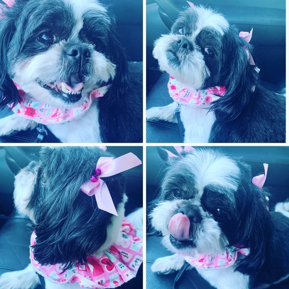 Happy Day!   lol.   😂 - Picture 15 of 16